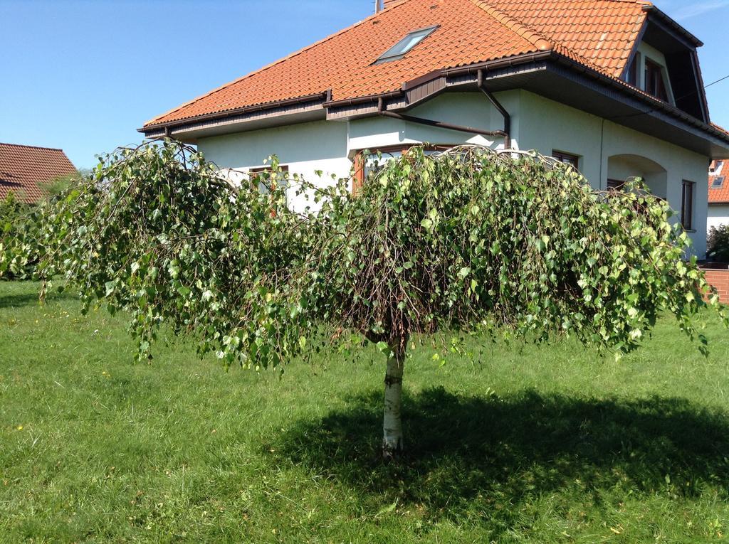 Landhaus Mit Garten Stettin Eksteriør billede