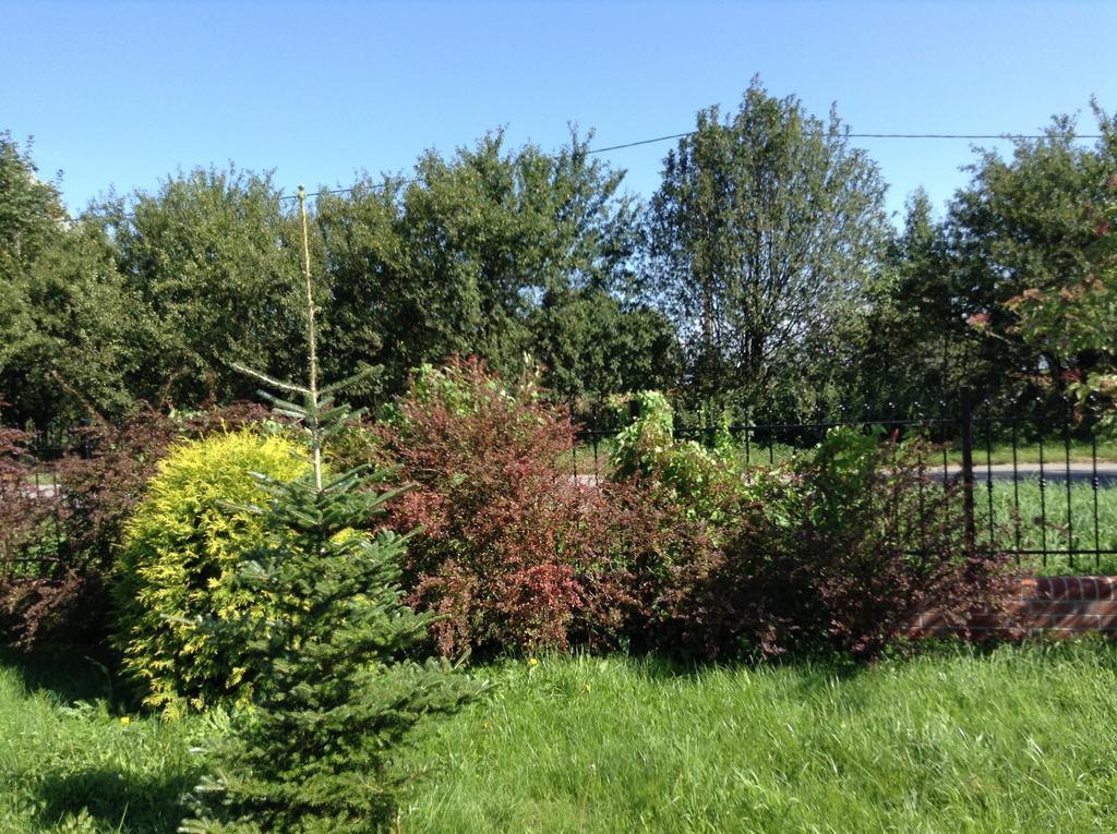 Landhaus Mit Garten Stettin Eksteriør billede